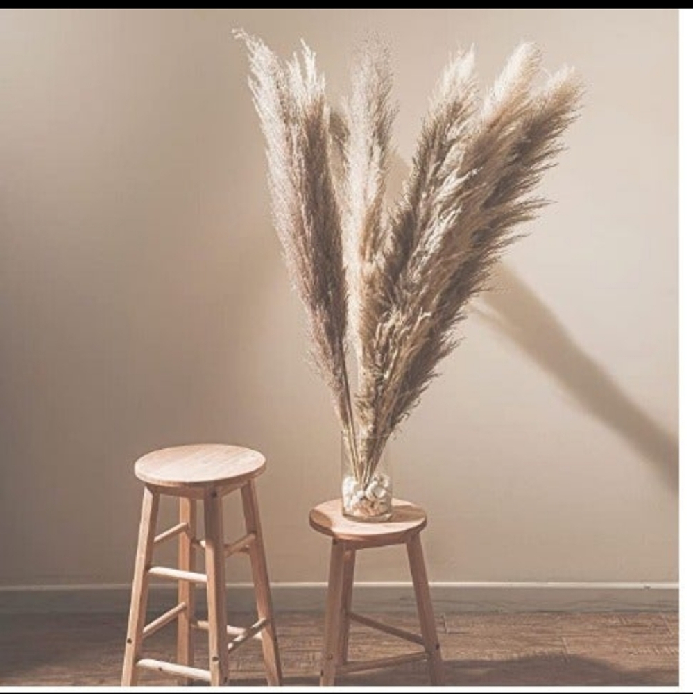 Pampas Grass Decor Tall - Luxury Natural Dried 4 Fluffy Stems (43”) - for Home